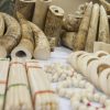 ivory-confiscated-HongKong